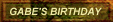 Gabe's Birthday